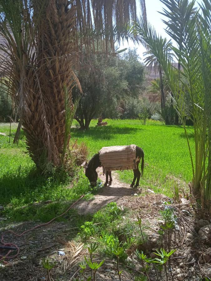 Dar Jamila Hotel Achbarou Bagian luar foto
